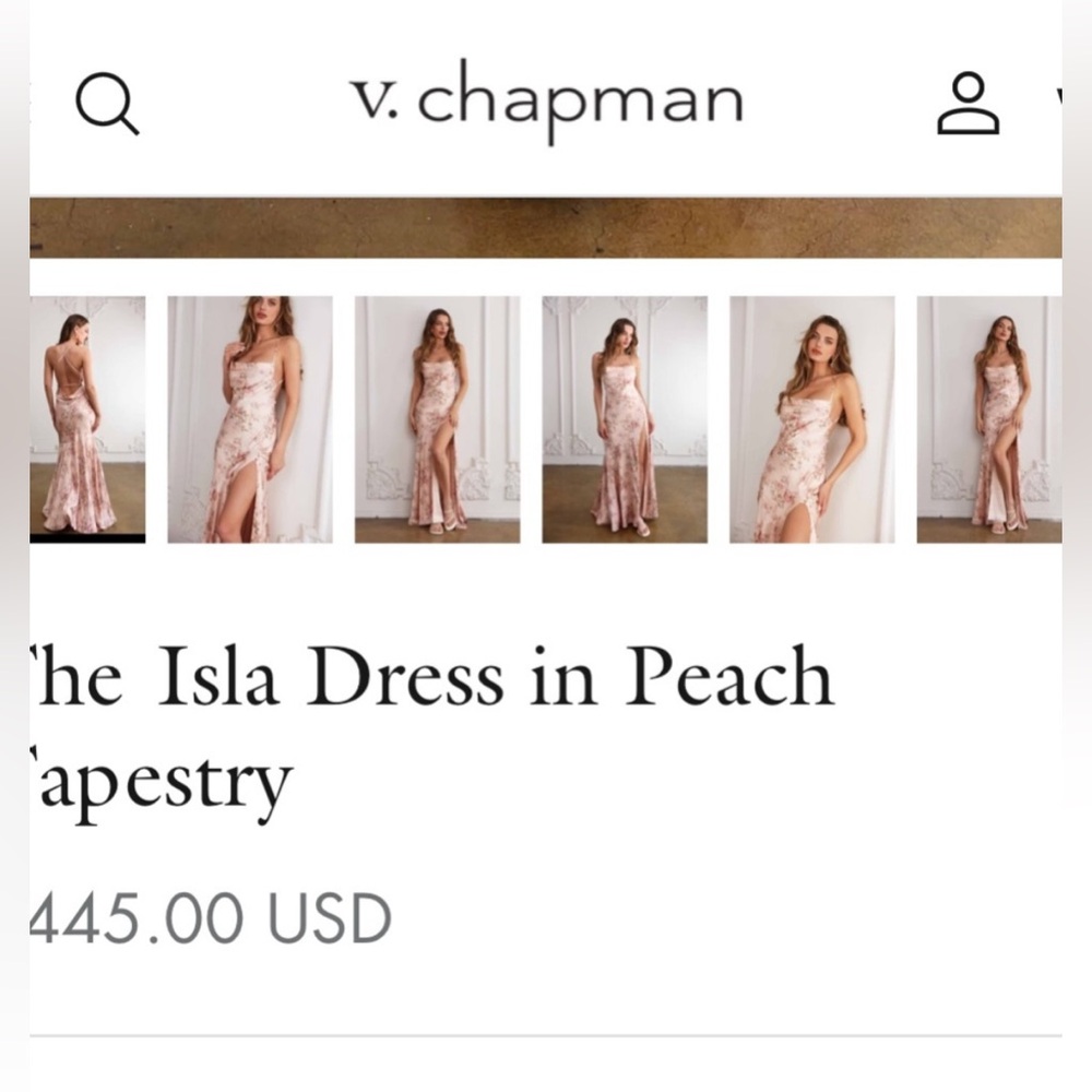 NWT V. Chapman Isla Floral Pink Maxi Dress Size 0 - Picture 5 of 8